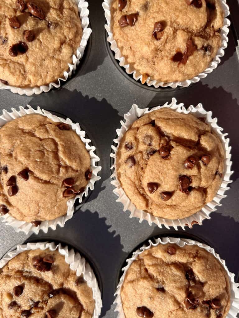 Baked kodiak cakes muffins in a muffin tin